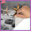 Tapis de bain Starfish On Beach-1306652169