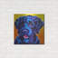 «Chien d'eau portugais - Banques» par Dawg Painter-728464879