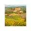 Provencal Village III Print by Michael Longo-26936516-26936522