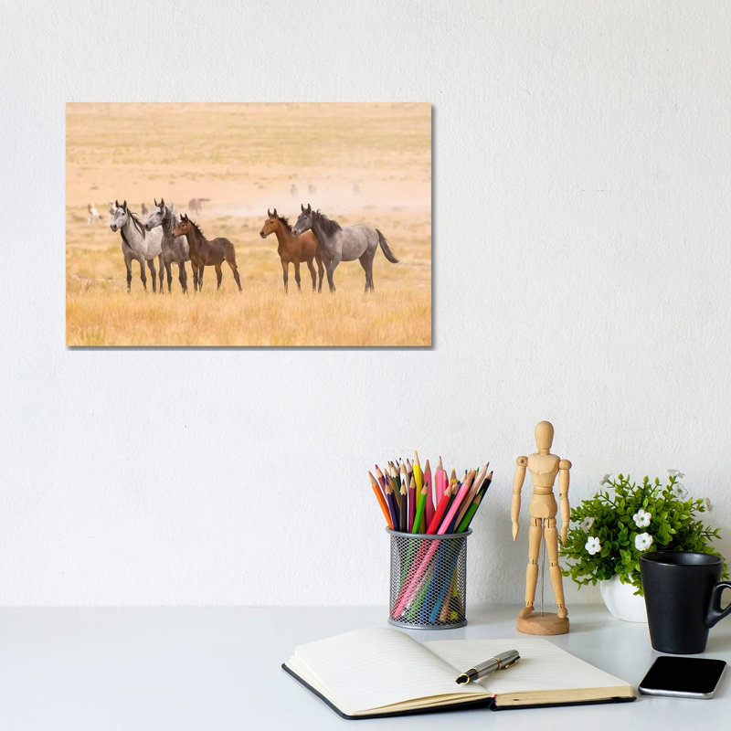USA, Utah, Tooele County. Wild horses alert. 1 Piece Wrapped Canvas Wall Art, 20.32cm H x 30.48cm W