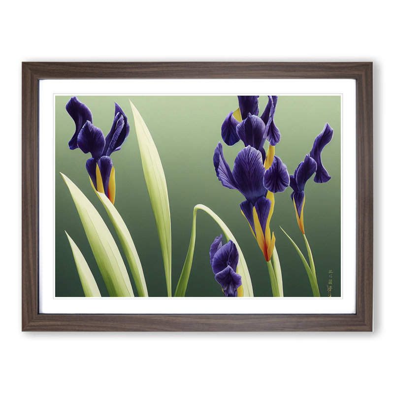 Shimmering Iris Flowers - Framed Print, 25cm H x 34cm W x 2cm D, Walnut