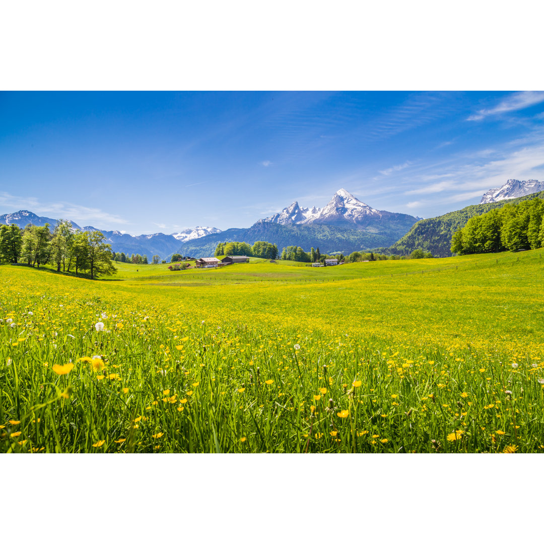 Leinwandbild Idyllische Landschaft in den Alpen mit grünen Wiesen und Blumen