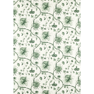 Phaedra Toile Fabric
