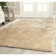 Assar Striped Handmade Tufted Area Rug in Champagne