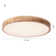 Daedalus 1-Light 50cm Contemporary Dimmable Round LED Flush Mount Lamp