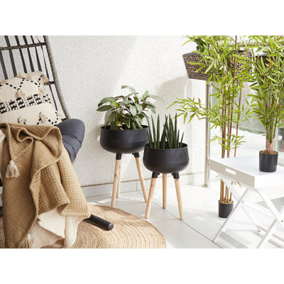 Montoya Pot Planter