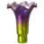 Purple/Green