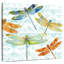 Libellule Brampt Bliss I-109359346