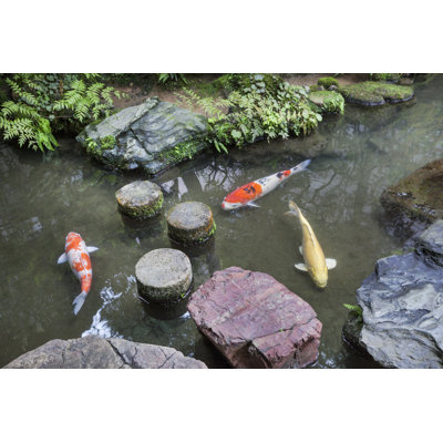 Jardin japonais. - Photographie sur toile tendue
