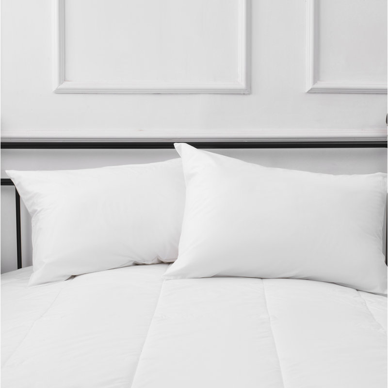  100% Cotton Zipper Pillow Protector, Standard
