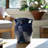 Winston Porter 7" Terracotta Vase With Handles-689273864