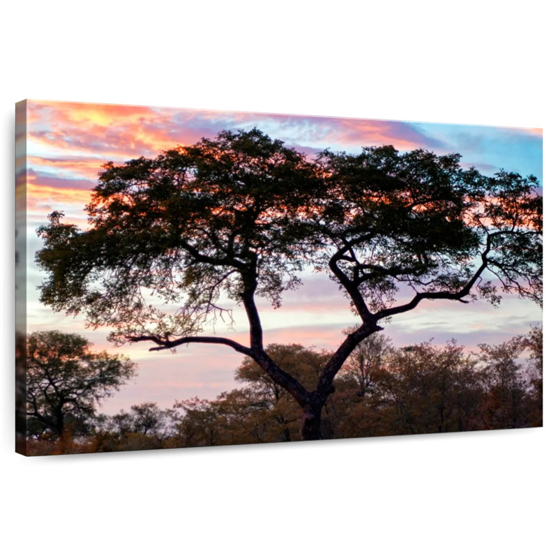 Alvord African Sunset, 26" H x 39" W