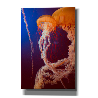 «Jelly 3» par PhotoINC Studio