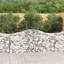 100 cm H x 200 cm W-567010189