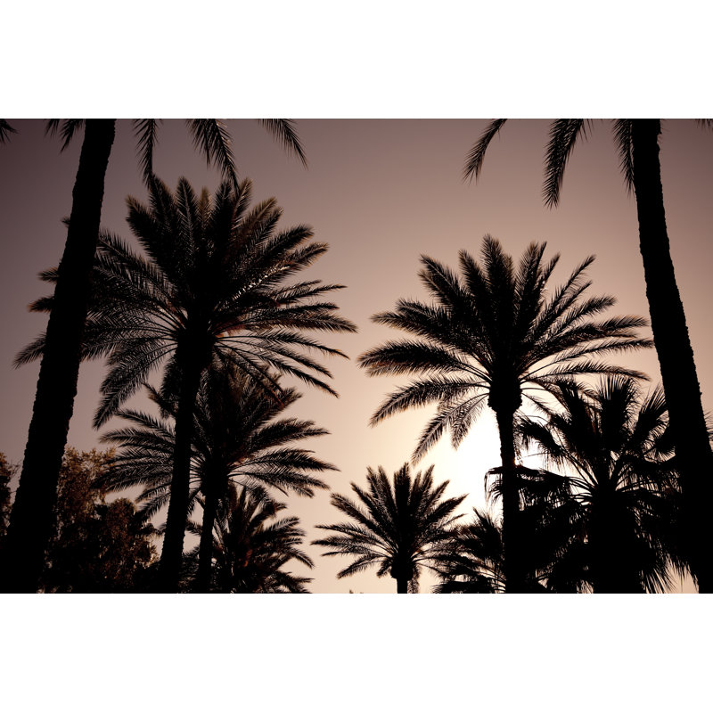 Palm Trees by LPETTET - Wrapped Canvas Print, 61cm H x 91cm W