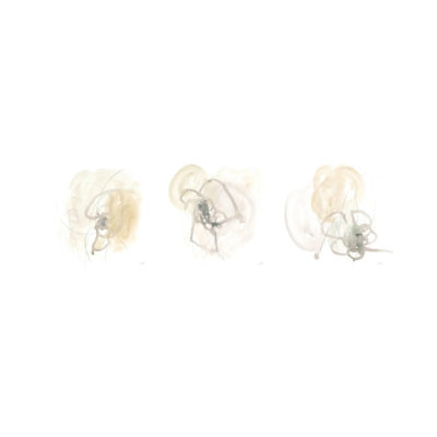 Infinite Variable Triptych - ensemble d'art mural sur toile - toile tendue (ensemble de 3)