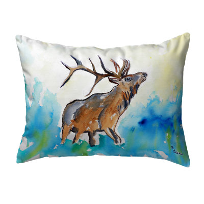 Outdoor Reversible Throw Pillow
