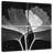 Harnek Ginkgo BW-109039807