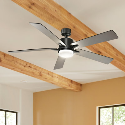 Lucian 60'' Ceiling Fan with LED Lights