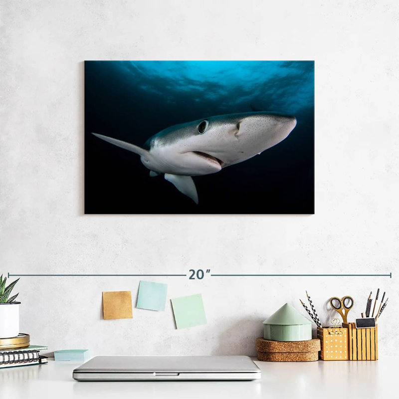 Brampt Underwater Blue Shark, 8" H x 12" W