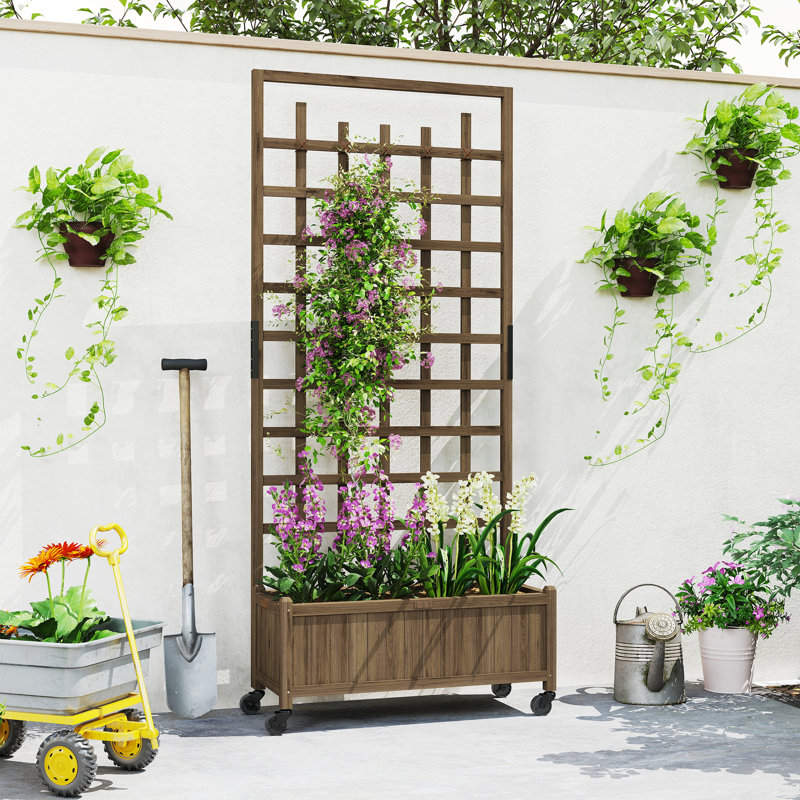 Wood Raised Garden Bed with Trellis