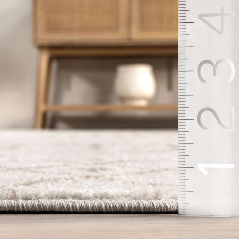  Moroccan Blythe Area Rug, Rectangle 9 pi x 12 pi