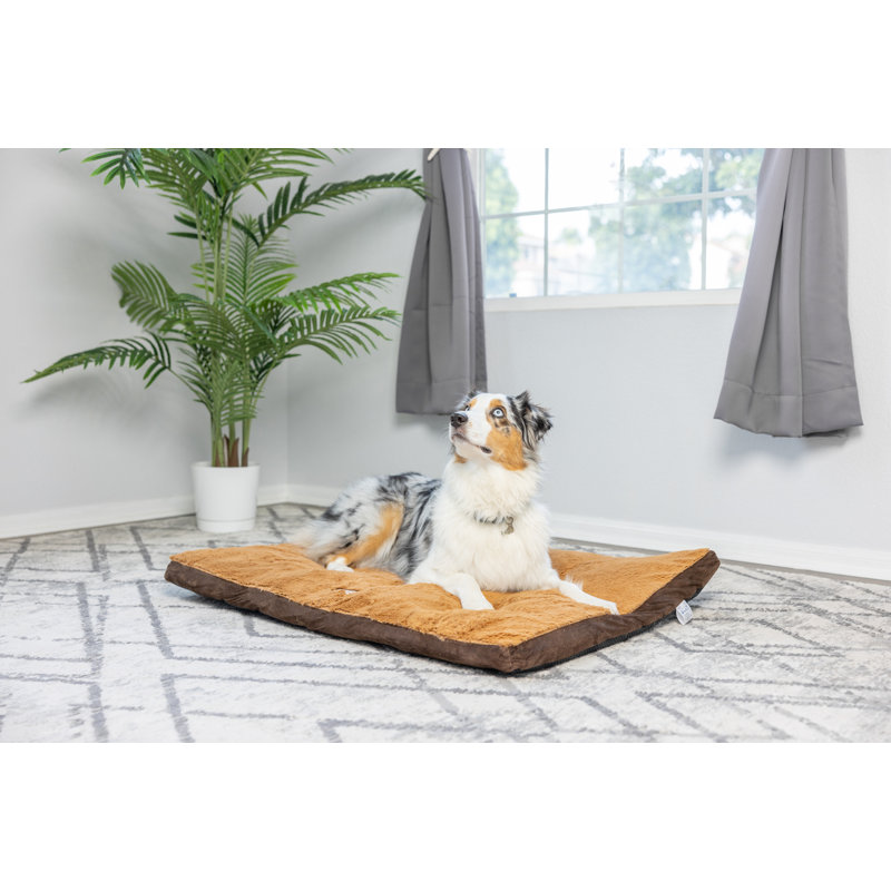 Coussin pour chien moka, Grand (l 39 po x P 28 po x H 4,5 po)