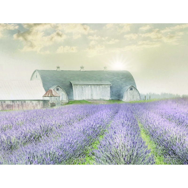 Lavande matinale - reproduction sur toile tendue, H 12 po x l 16 po