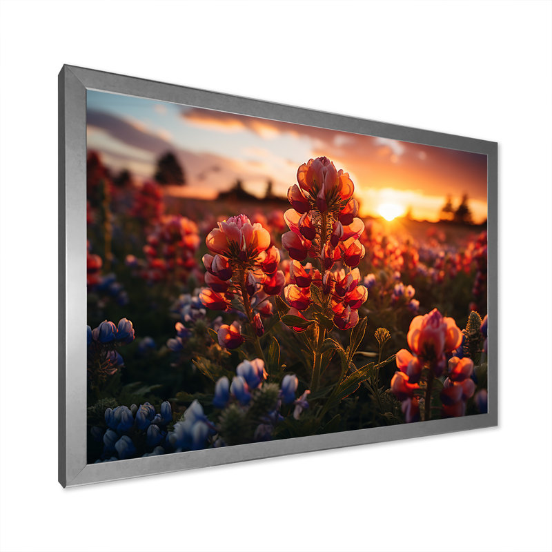 «Red Bonnets Field With Orange Sunset - Blue Bonnets», reproduction d'art sur toile FDP107240, H 34 po x l 44 po x P 1,5 po