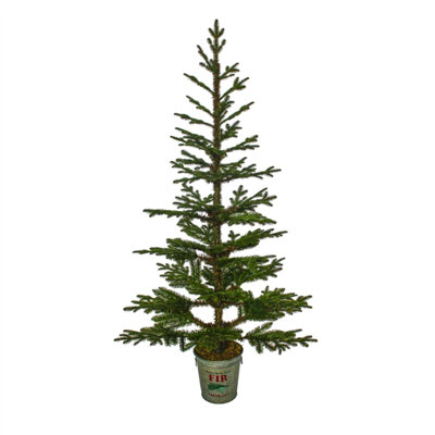 Sapin de Noël artificiel épinette vert 6 '