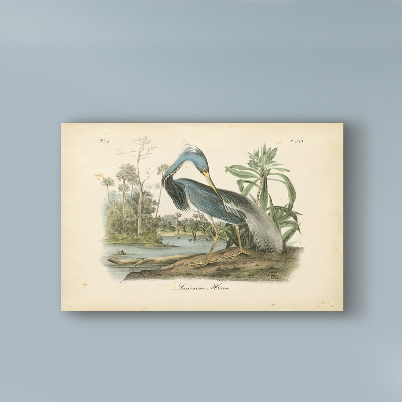 «Louisiana Heron» par James Audubon, impression sur toile, H 30 po x l 47 po x P 2 po