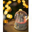 Christmas Snow Globe