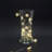Battery Operated LED Fairy String Lights with Snowflakes