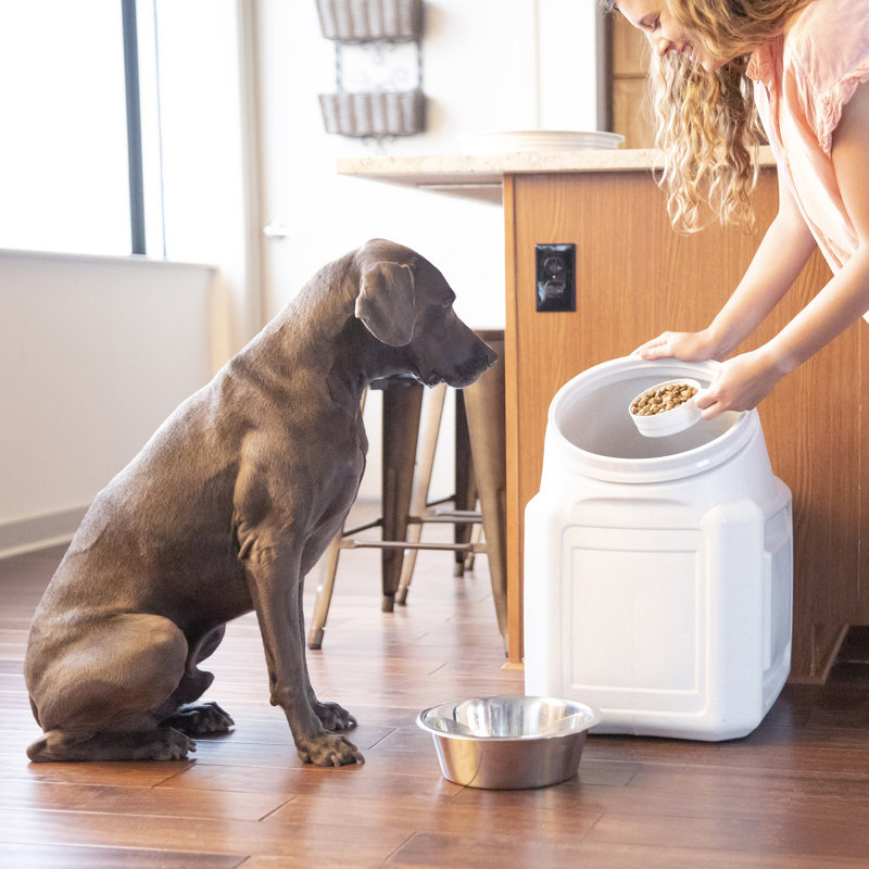 Gray Airtight Stackable Plastic Pet Food Storage Container
