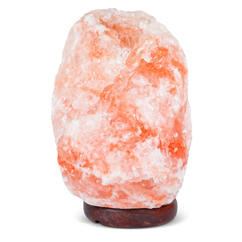 Sharrone 14 Lb. Novelty & Humor Themed Salt Lamp