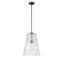 Luminaire suspendu conique à 1 lumière Cheston-97859478