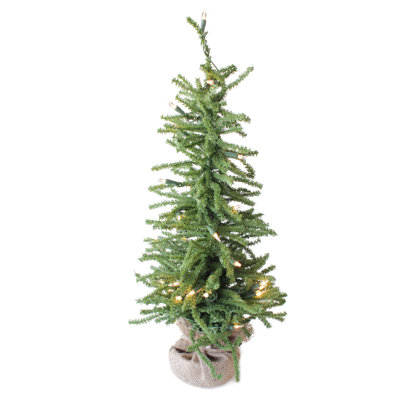 24' Lighted Christmas Tree