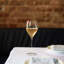Magnifico Wine Glasses (Set of 4)-588256607
