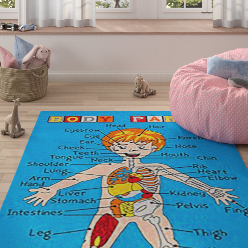 Tapis bleu Stuckey, Rectangle 5 pi x 8 pi