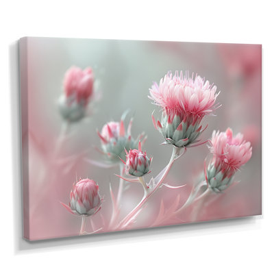 Monochrome Pink Grey Thistle Fragile Beauty - Thistle Wall Art Print