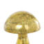  2 Piece  Glass Weathered Mushroom Sculpture Set