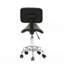 Backed Adjustable Height Ergonomic Lab Stool