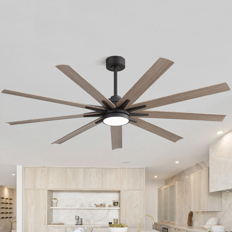 65-Inch 9-Blade Ceiling Fan with Light