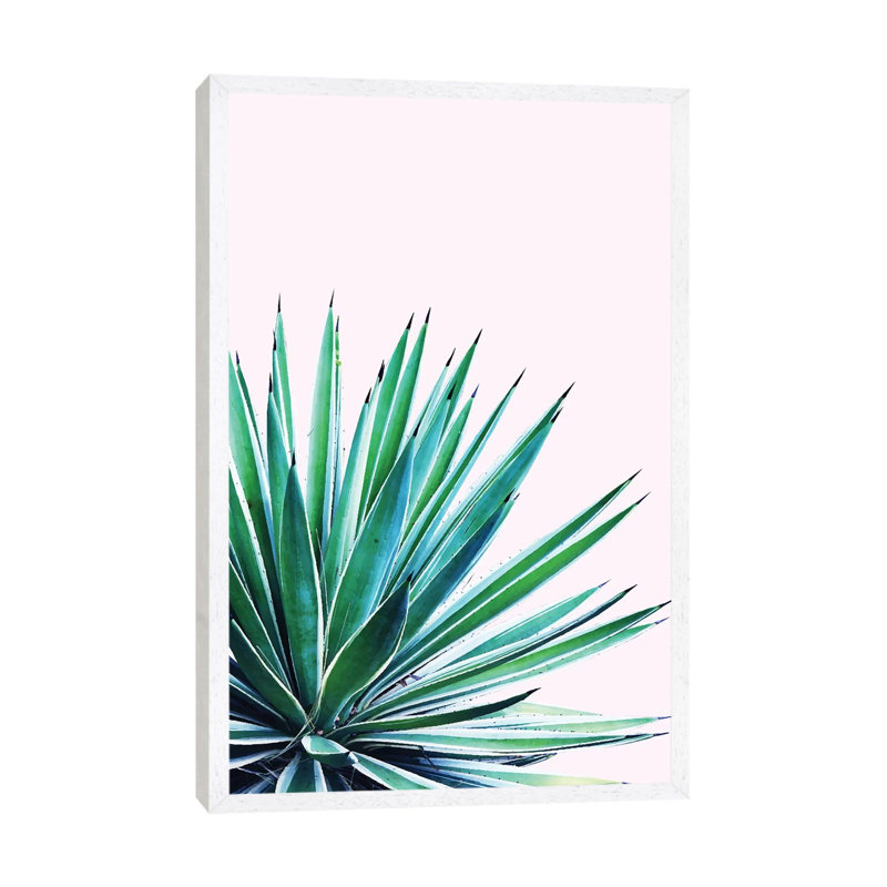 Agave Love - Print on Canvas, 66.04 cm H x 45.72 cm W, White Floater Framed