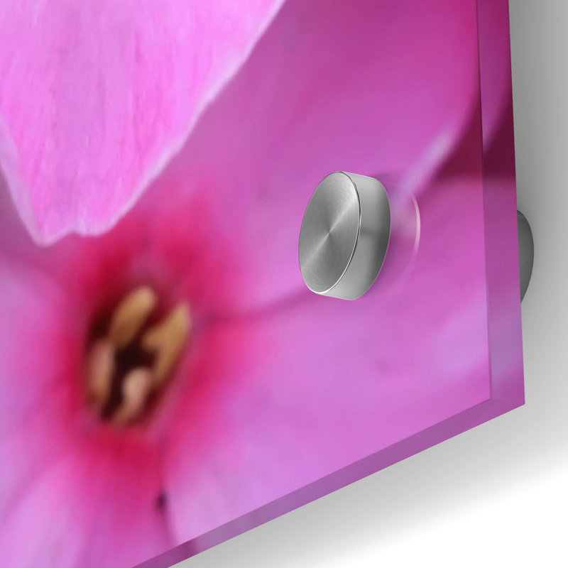 «Pink Flowers 1» par Photoinc Studio, art mural en verre acrylique, H 36 po x l 36 po x P 0,2 po