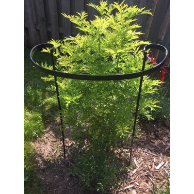 Charona Metal Weather Resistant Plant Stand