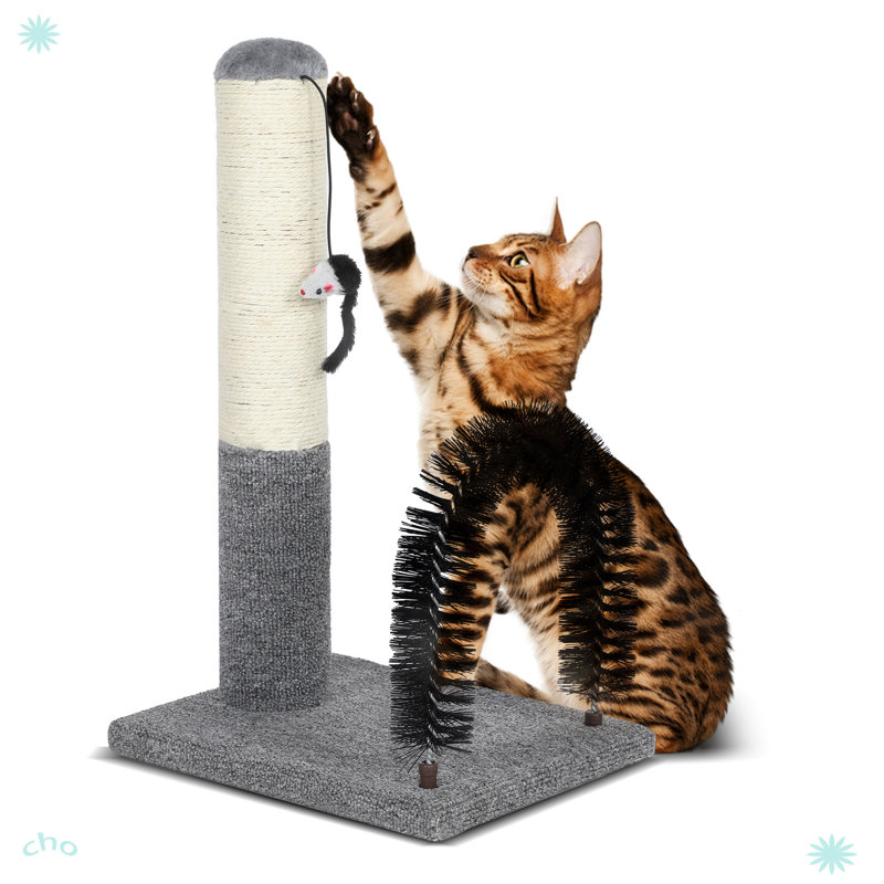 Ellisse Scratching Post