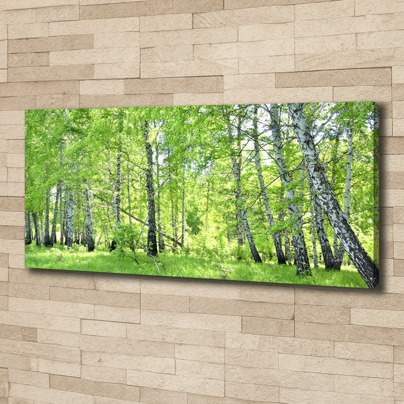 Birch Forest - Wrapped Canvas Print