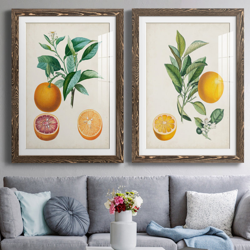 Orange de Malte - ensemble de 2 reproductions d'art, H 43,5 po x l 31,5 po x P 1 po, Papier, cadre noyer, Blanc