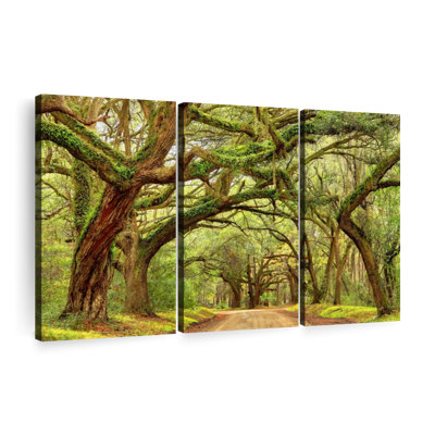 «Charleston Oak Forest» sur toile